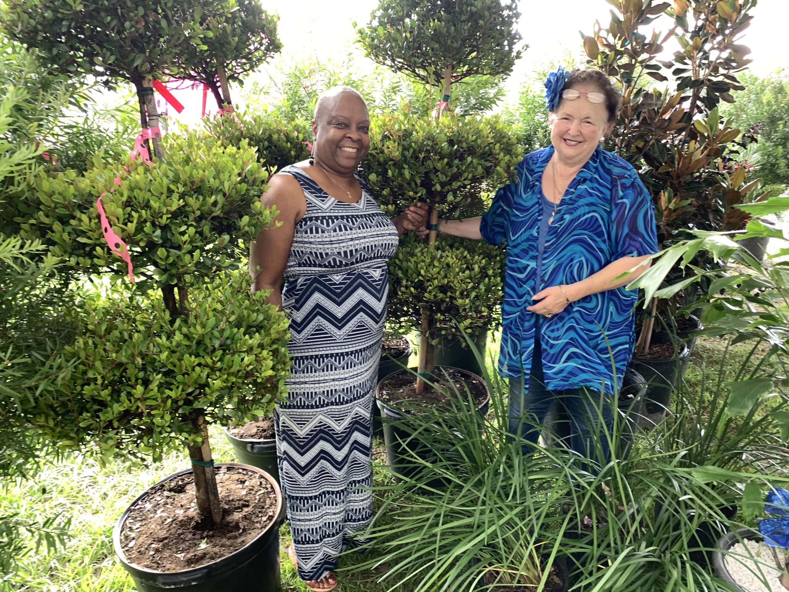 Sixth Annual Hswcd Great Plant Auction Returns To Hillsborough County