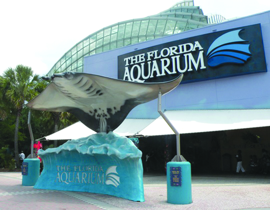 Florida Aquarium Partners With New Conservation Park At Viewing Center ...