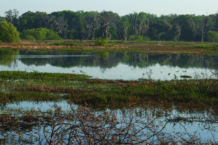 Exploring Wild Florida: Circle B Bar Reserve - Osprey Observer