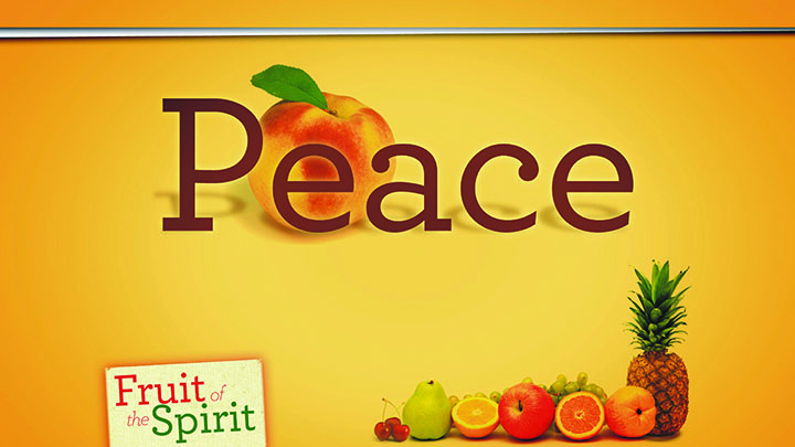 Write The Word Bible Journal | Fruit of The Spirit
