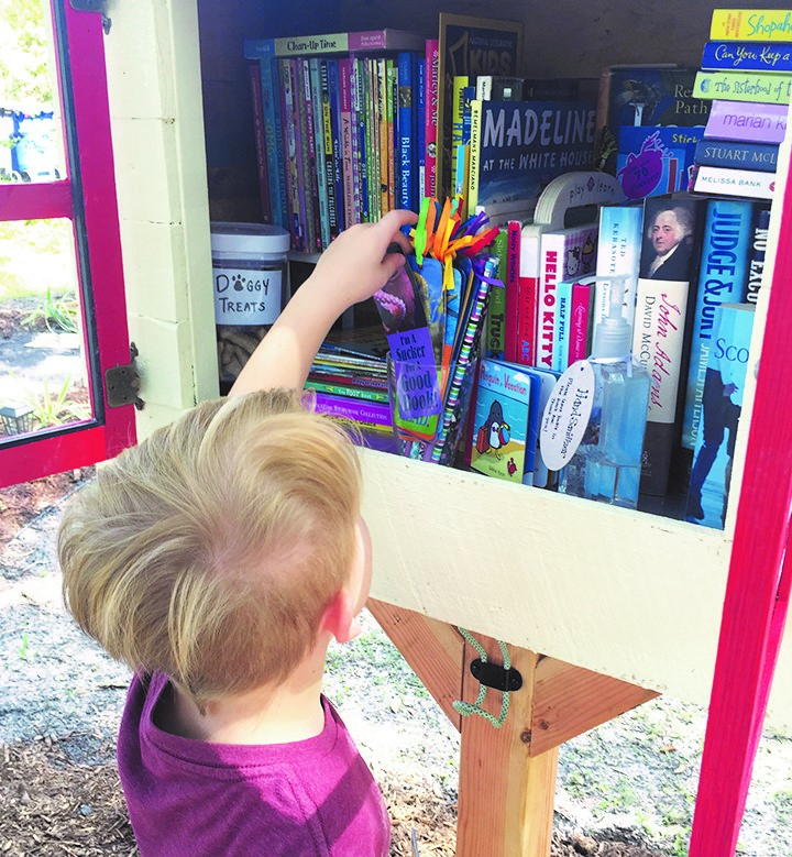 Take A Book, Share A Book In New Bloomingdale Community Little Free