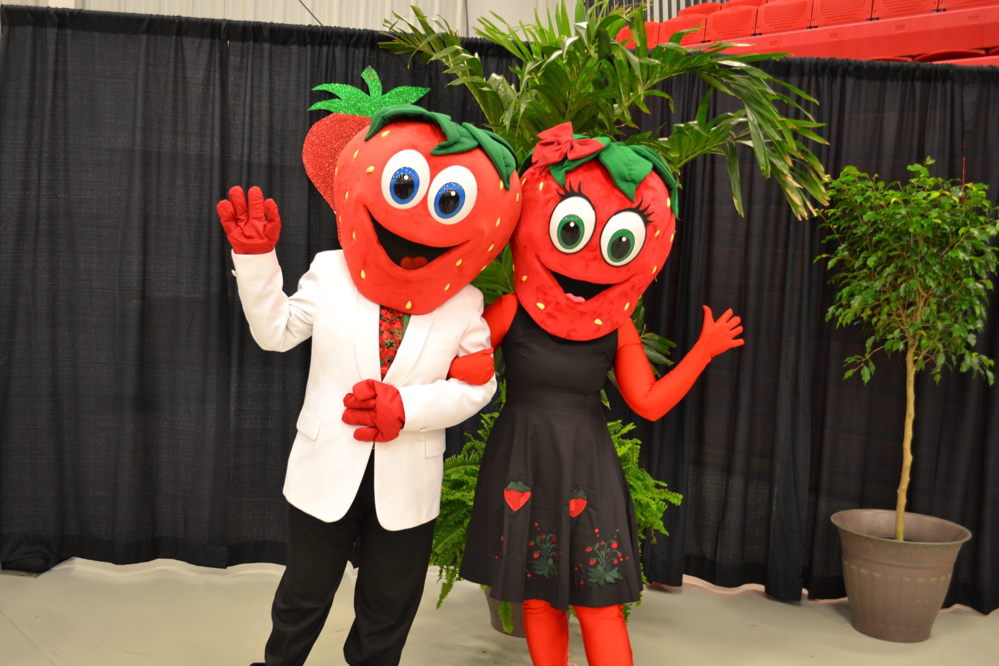 Florida Strawberry Festival Offers Something For Everyone | Osprey Observer
