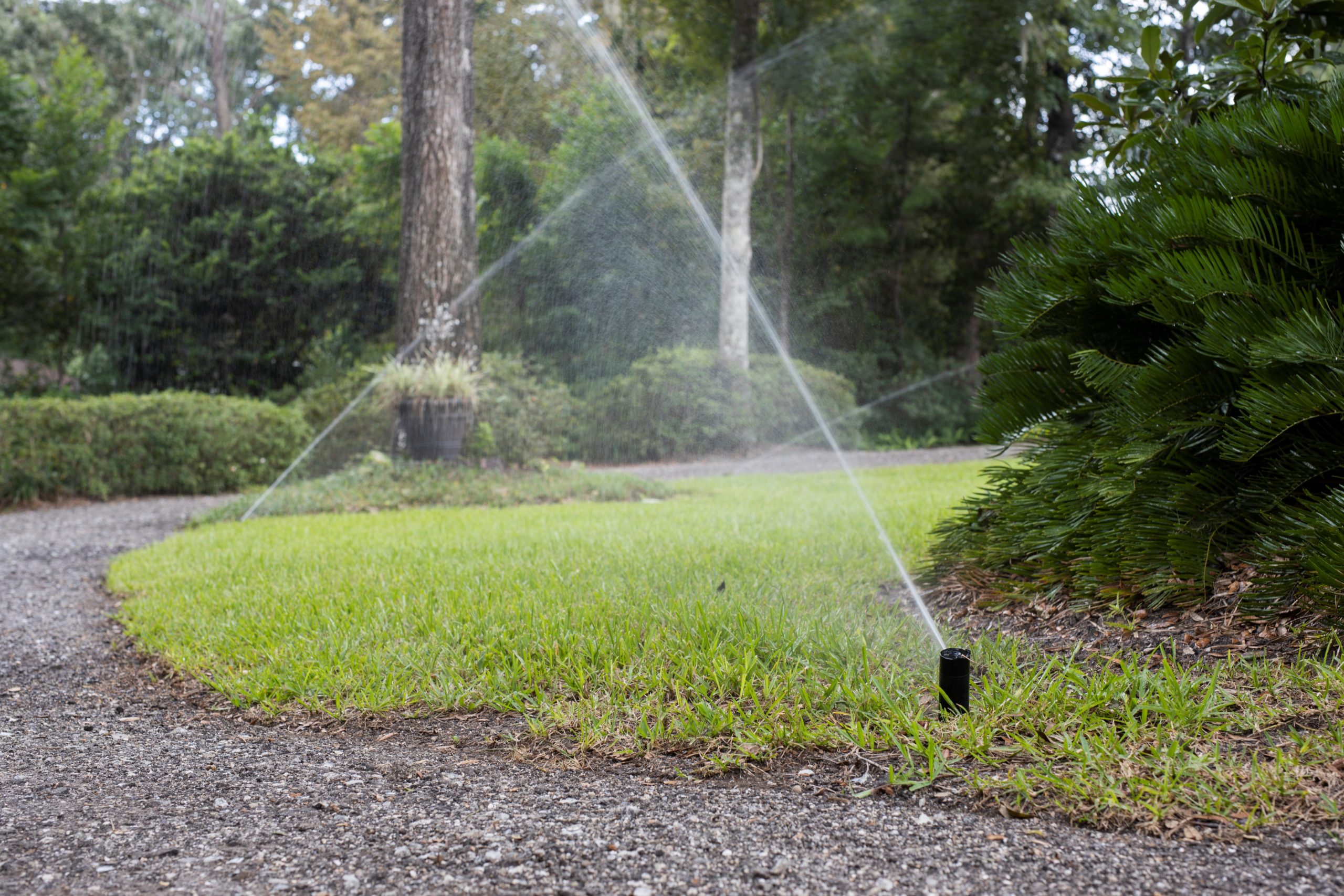 Water Conservation Month: UF/IFAS Expert Explains Why Saving Water ...