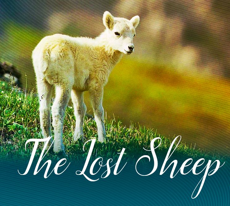 The Powerful Parables Of Jesus: The Parable Of The Lost Sheep | Osprey ...